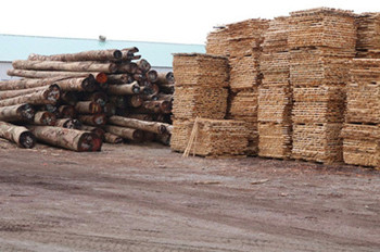 沂水锨把木材銷售 品質與工藝的完美結合